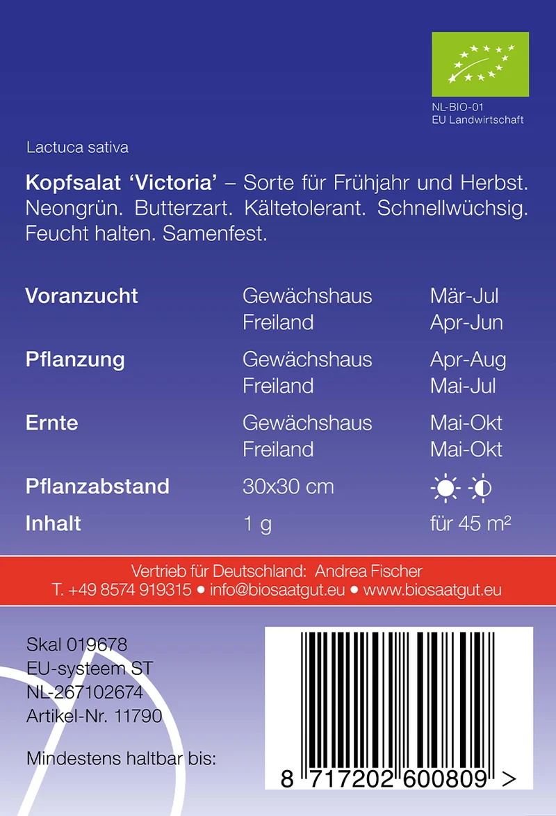 Kopfsalat Twellose Gele | BIO Kopfsalatsamen von De Bolster [MHD 12/2023]