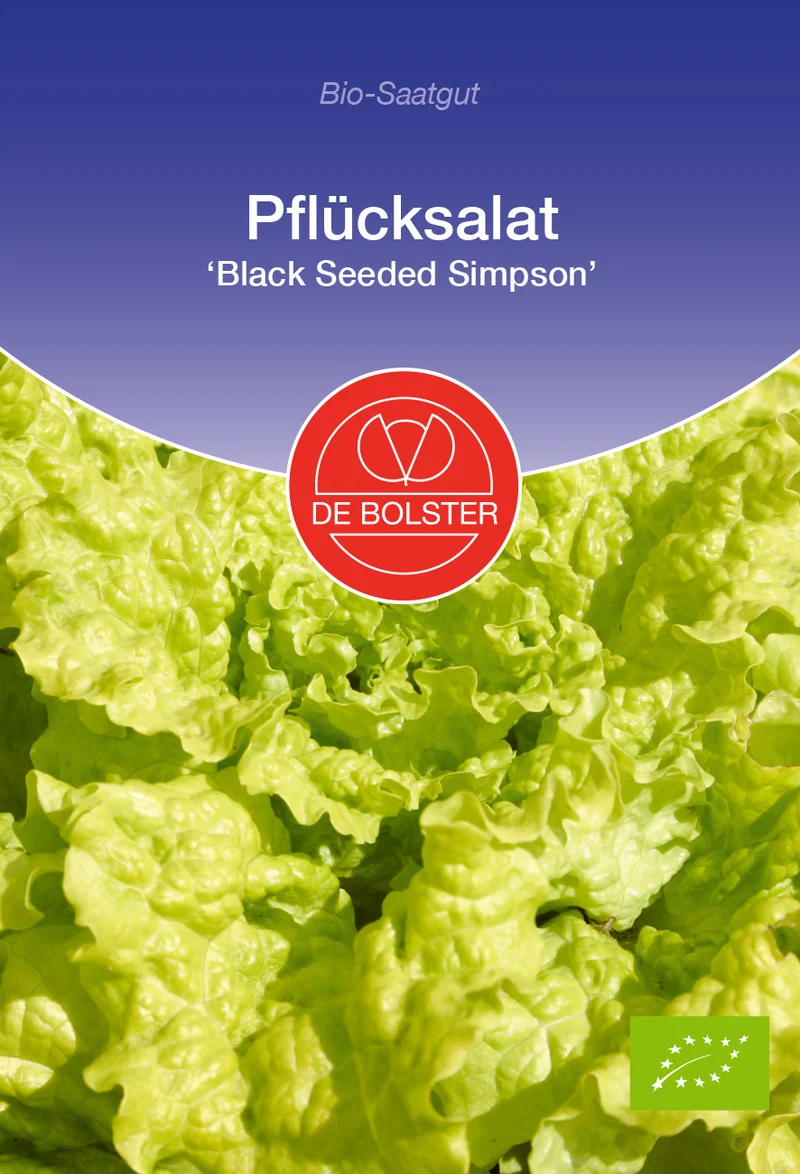 Pflücksalat Black Seeded Simpson | BIO Pflücksalatsamen von De Bolster [MHD 12/2024]