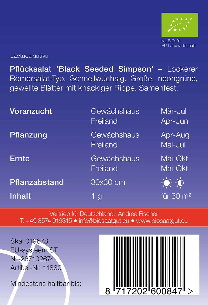 Pflücksalat Black Seeded Simpson | BIO Pflücksalatsamen von De Bolster [MHD 12/2024]