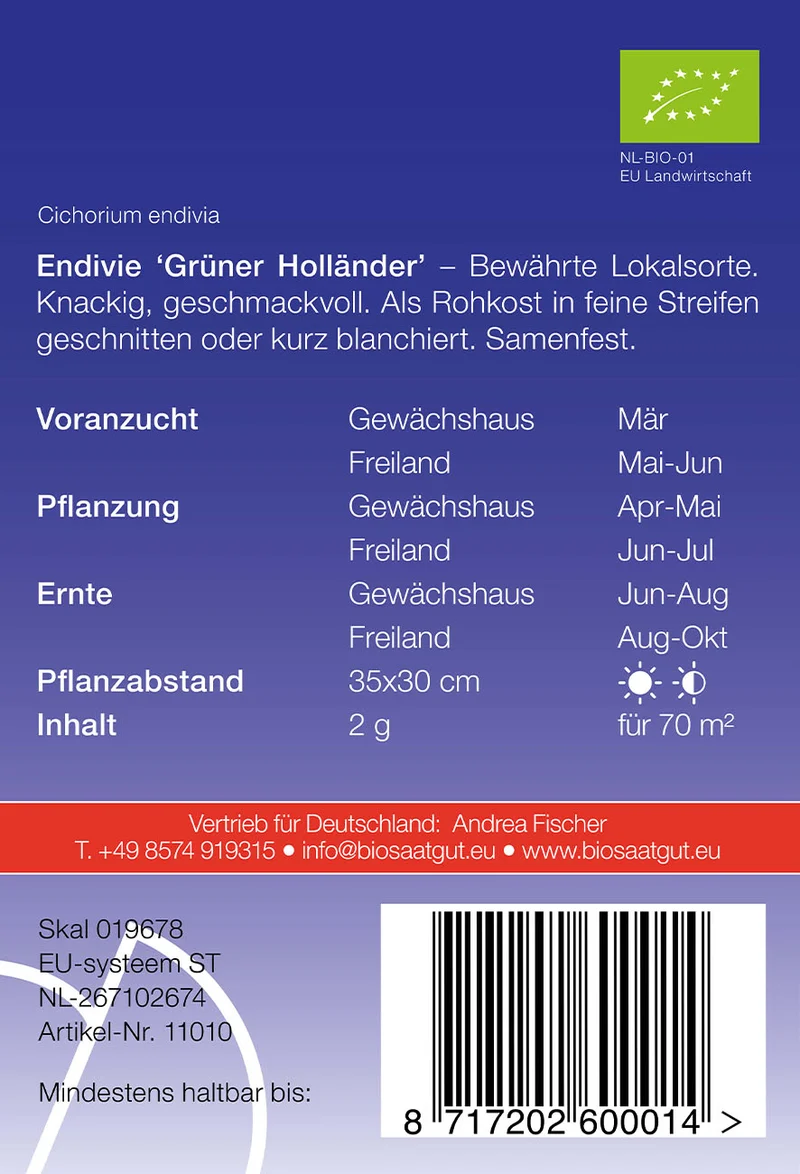 Endivie Grüner Holländer | BIO Endiviensalatsamen von De Bolster [MHD 12/2024]
