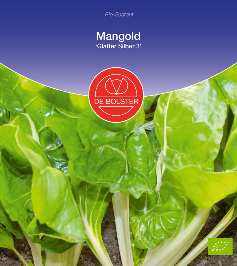 Mangold Glatter Silber 3 | BIO Mangoldsamen von De Bolster [MHD 12/2023]