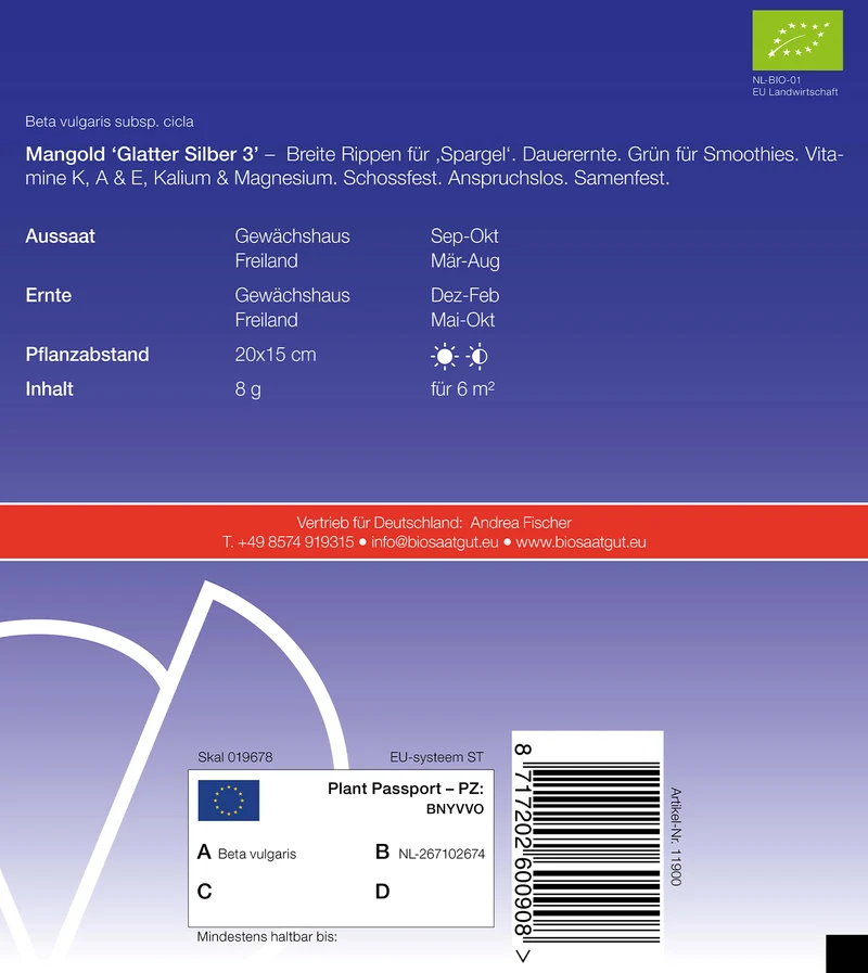 Mangold Glatter Silber 3 | BIO Mangoldsamen von De Bolster [MHD 12/2023]