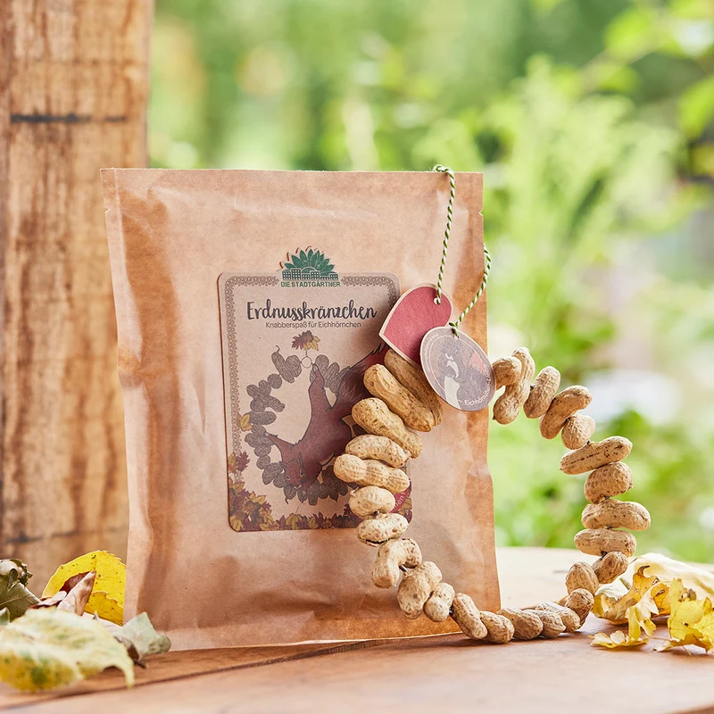 Erdnusskränzchen – Snack für Eichhörnchen
