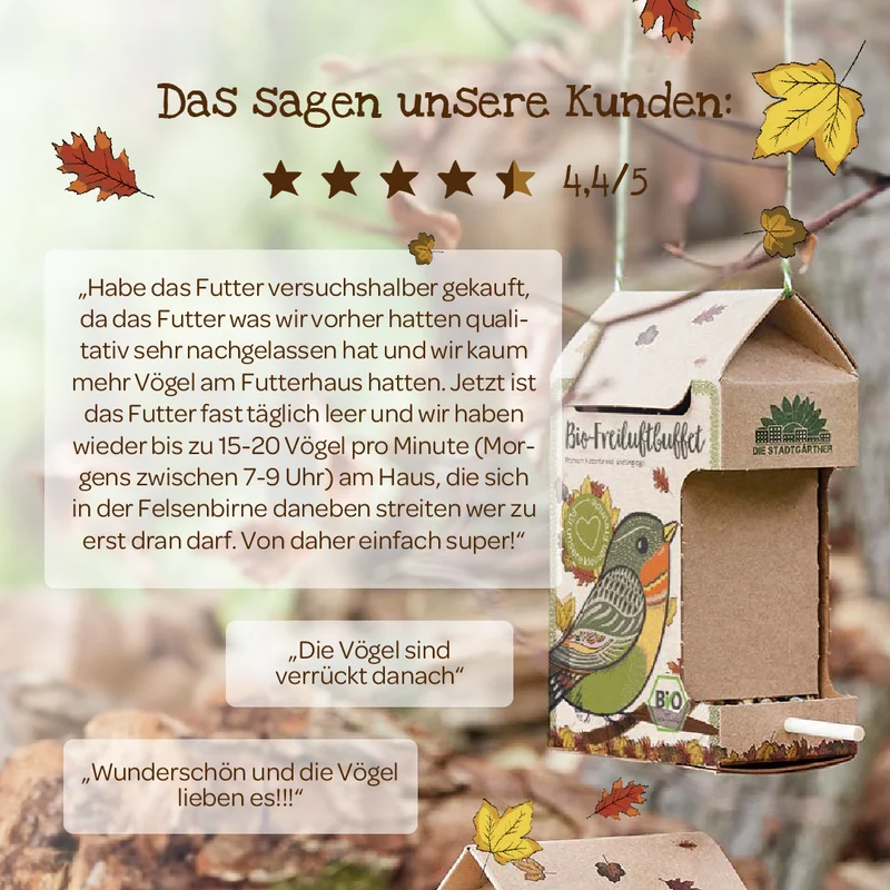 BIO-Freiluftbuffet für Vögel