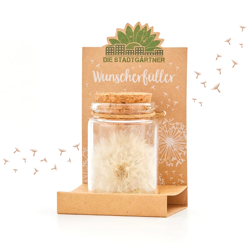 Großer Wunscherfüller – Pusteblume im Glas
