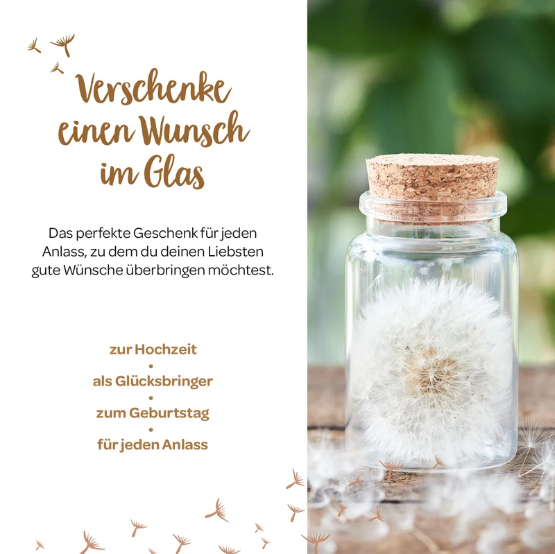 Großer Wunscherfüller – Pusteblume im Glas