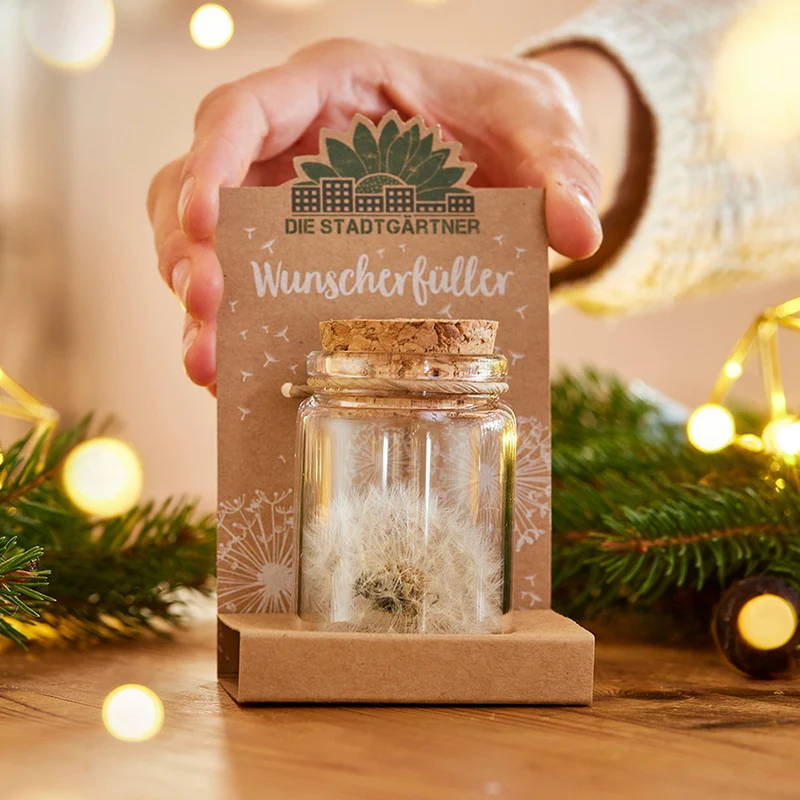Großer Wunscherfüller – Pusteblume im Glas