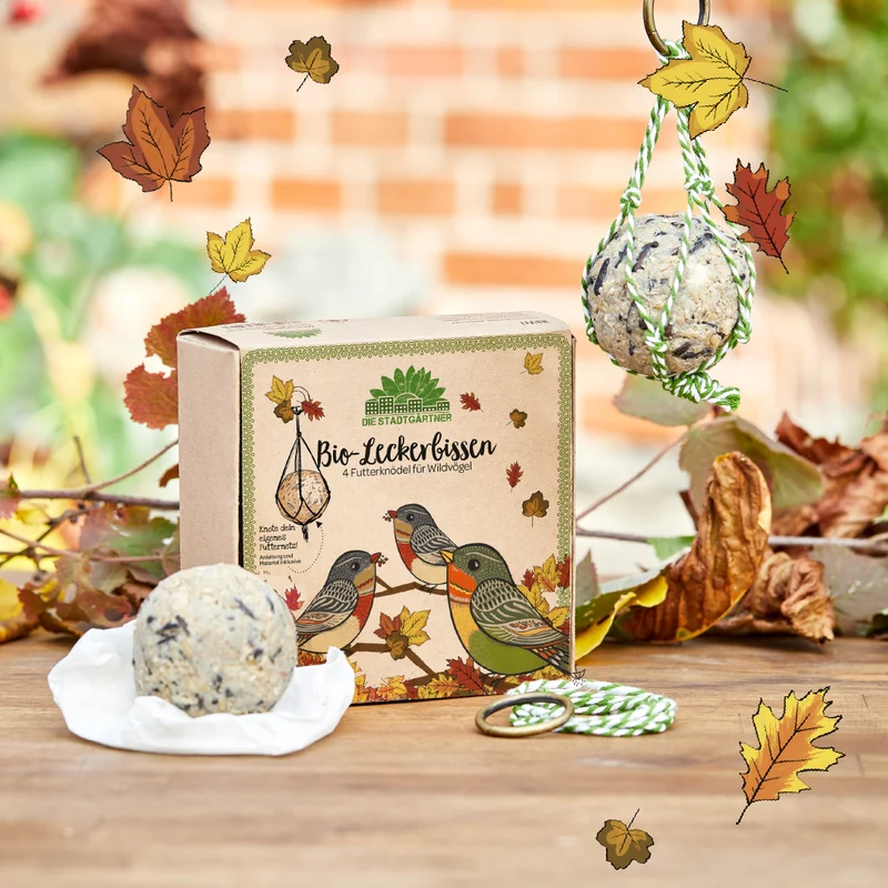4 BIO-Leckerbissen – Futterknödel
