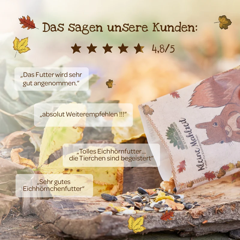 Kleine Mahlzeit – Eichhörnchenfutter