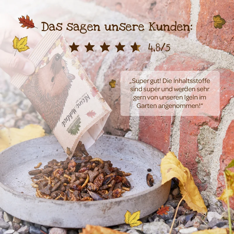 Kleine Mahlzeit – Igelfutter
