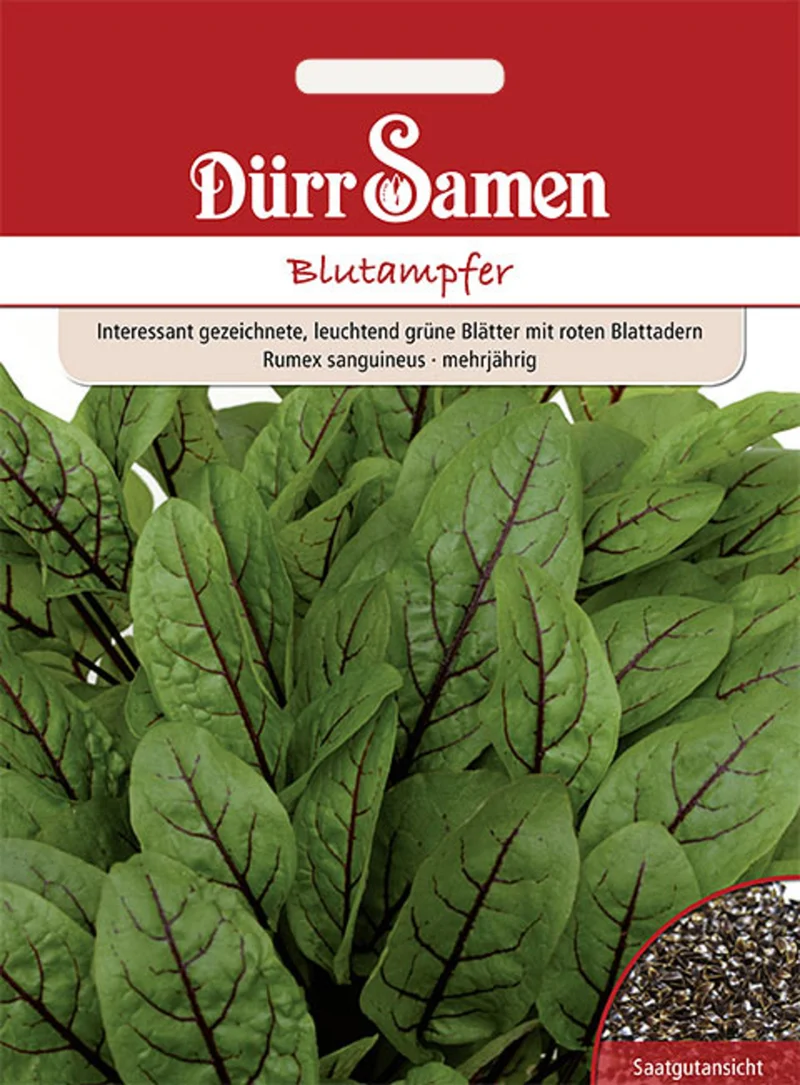 Blutampfer Saatgut