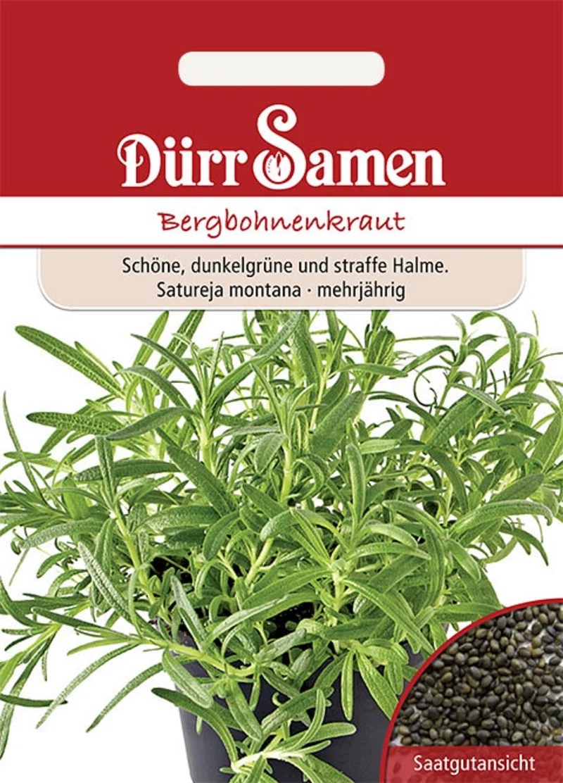 Bergbohnenkraut Saatgut