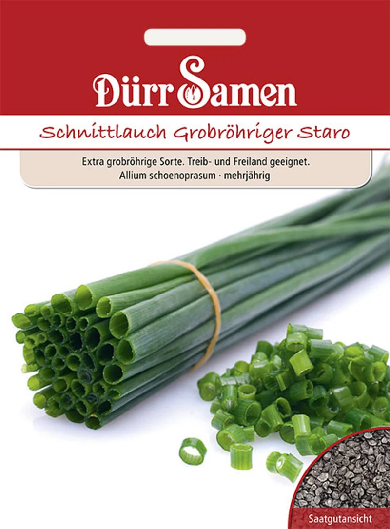 Schnittlauch Staro grobröhrig Saatgut