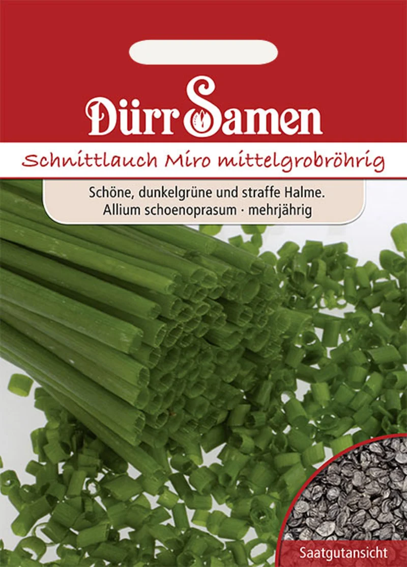Schnittlauch Mittelgrobröhrig Miro Saatgut