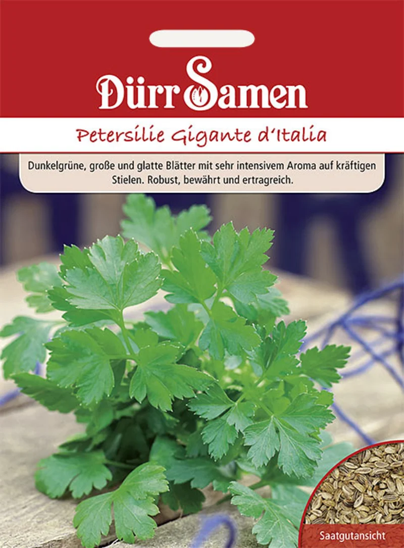 Petersilie Gigante d Italia Saatgut