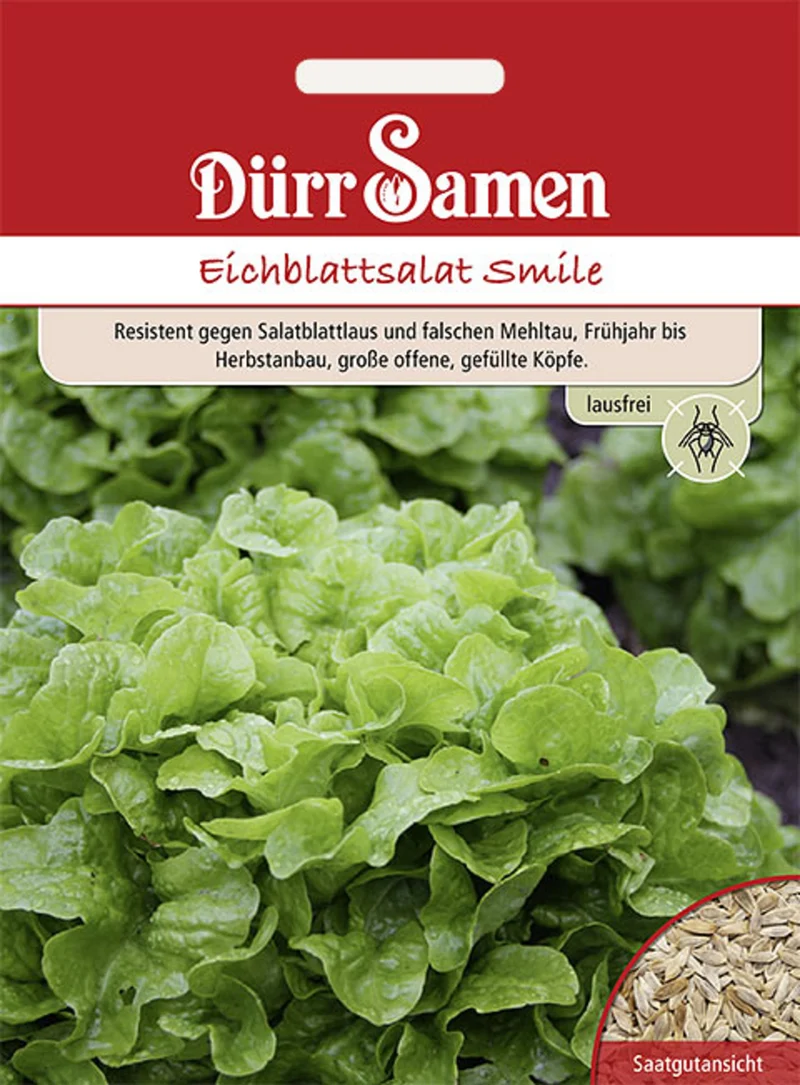 Eichblattsalat Smile Saatgut