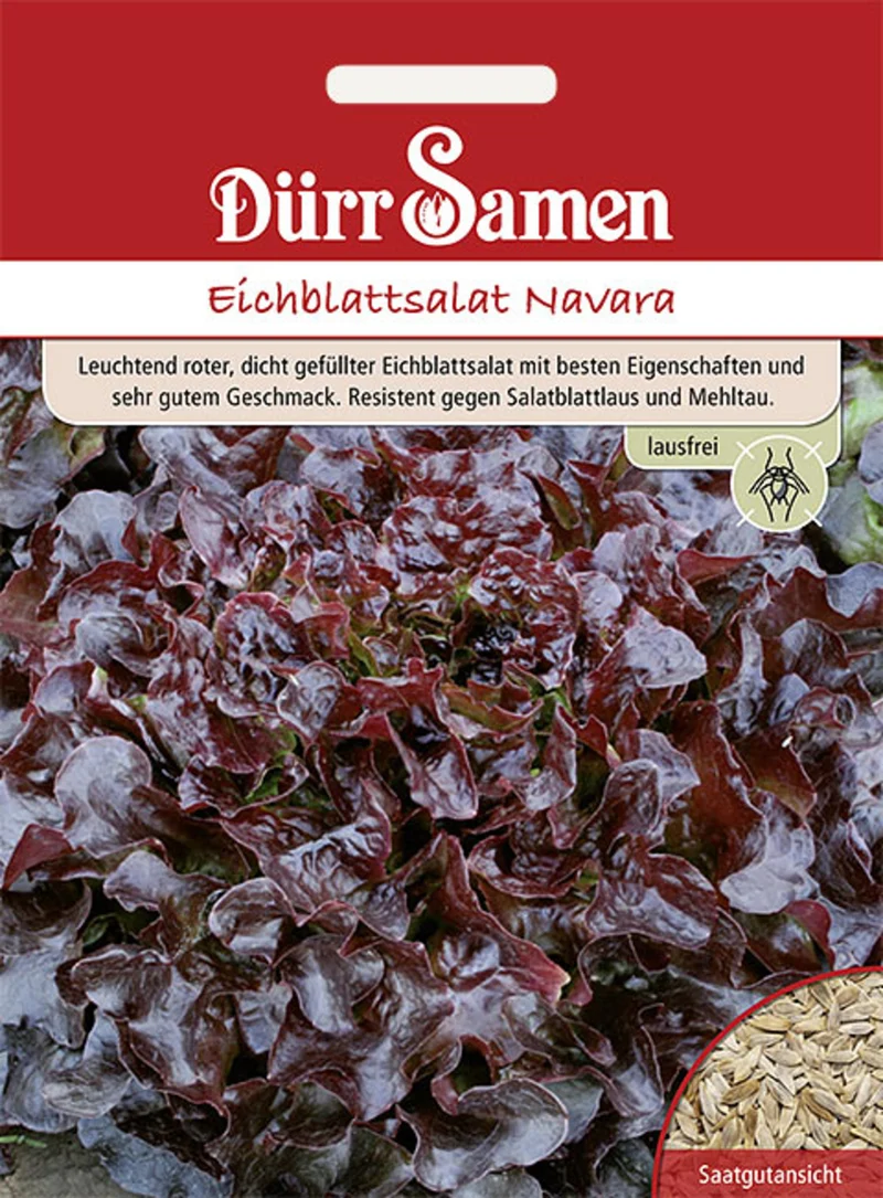 Eichblattsalat Navara Saatgut
