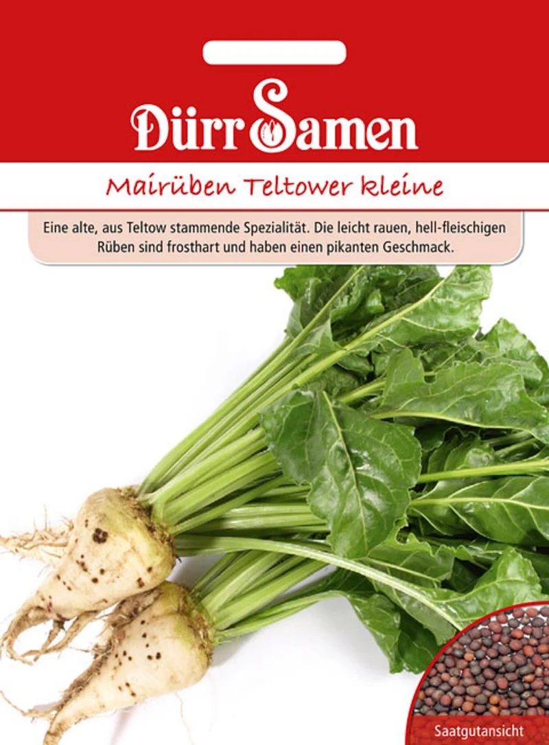 Mairüben Teltower kleine Saatgut