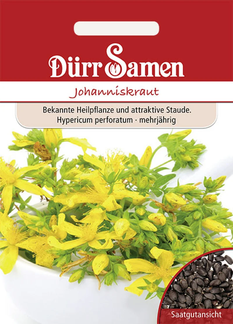 Johanniskraut Saatgut