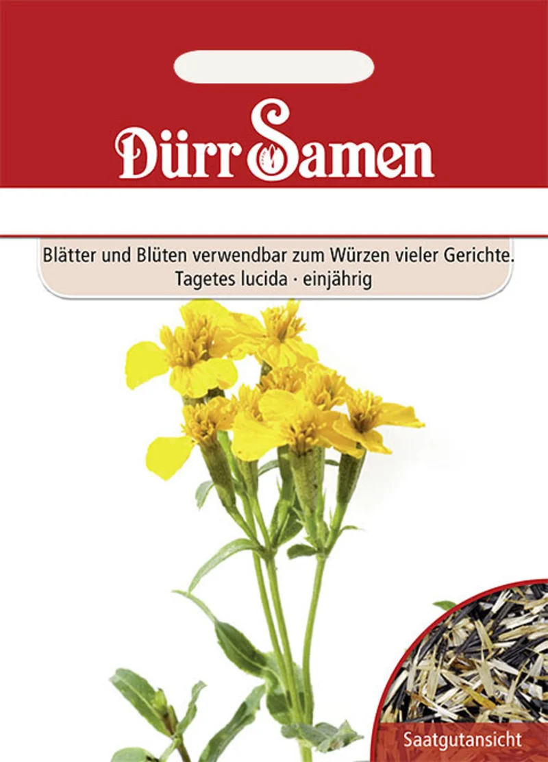Würz Tagetes Saatgut