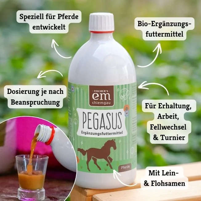 Pegasus Bio-Ergänzungsfuttermittel