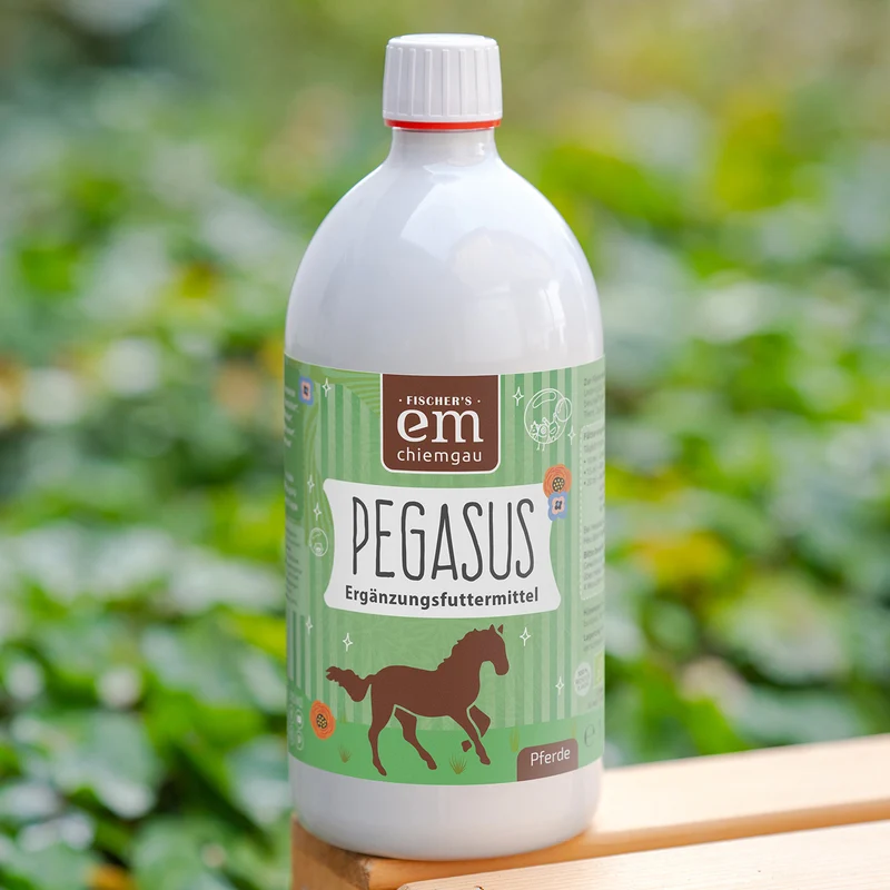 Pegasus Bio-Ergänzungsfuttermittel