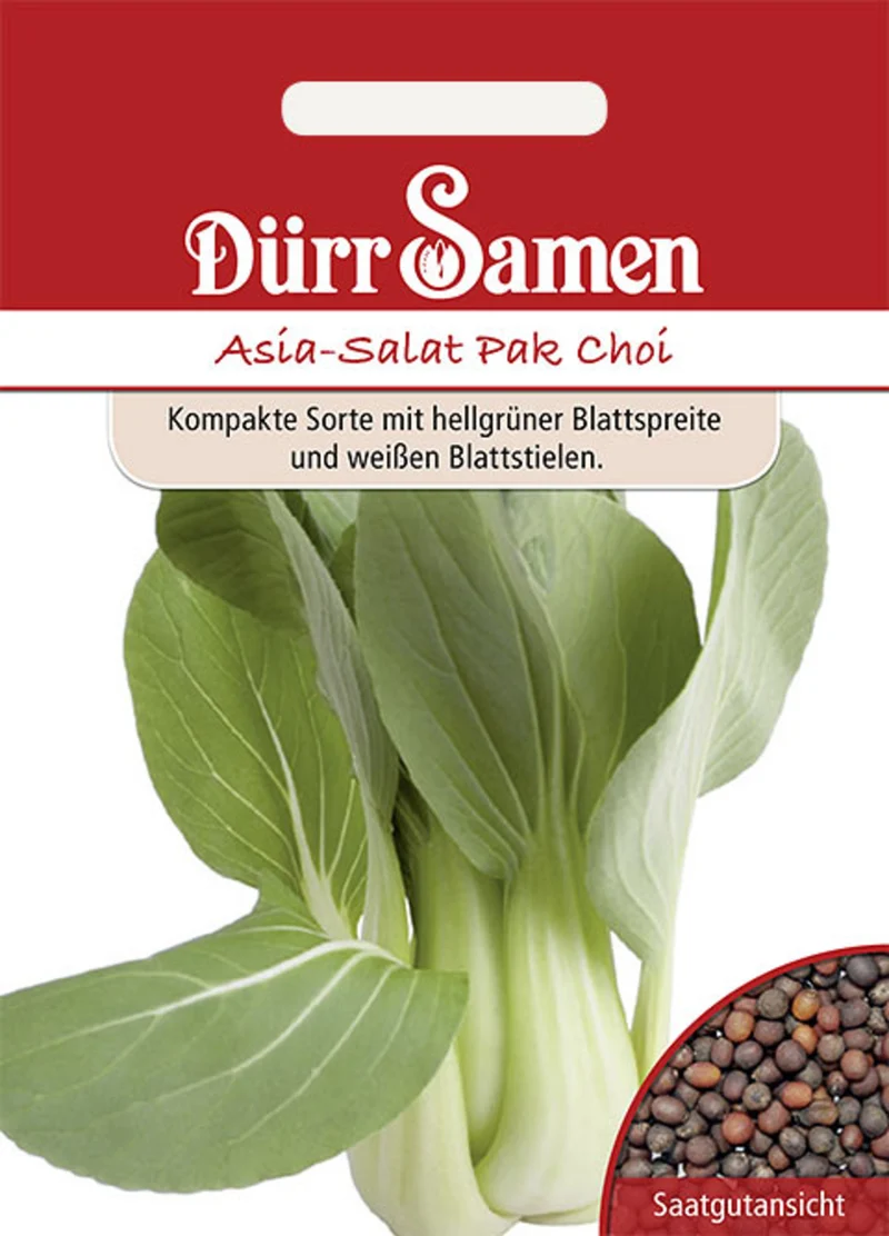 Asia Salat Pak Choi Saatgut