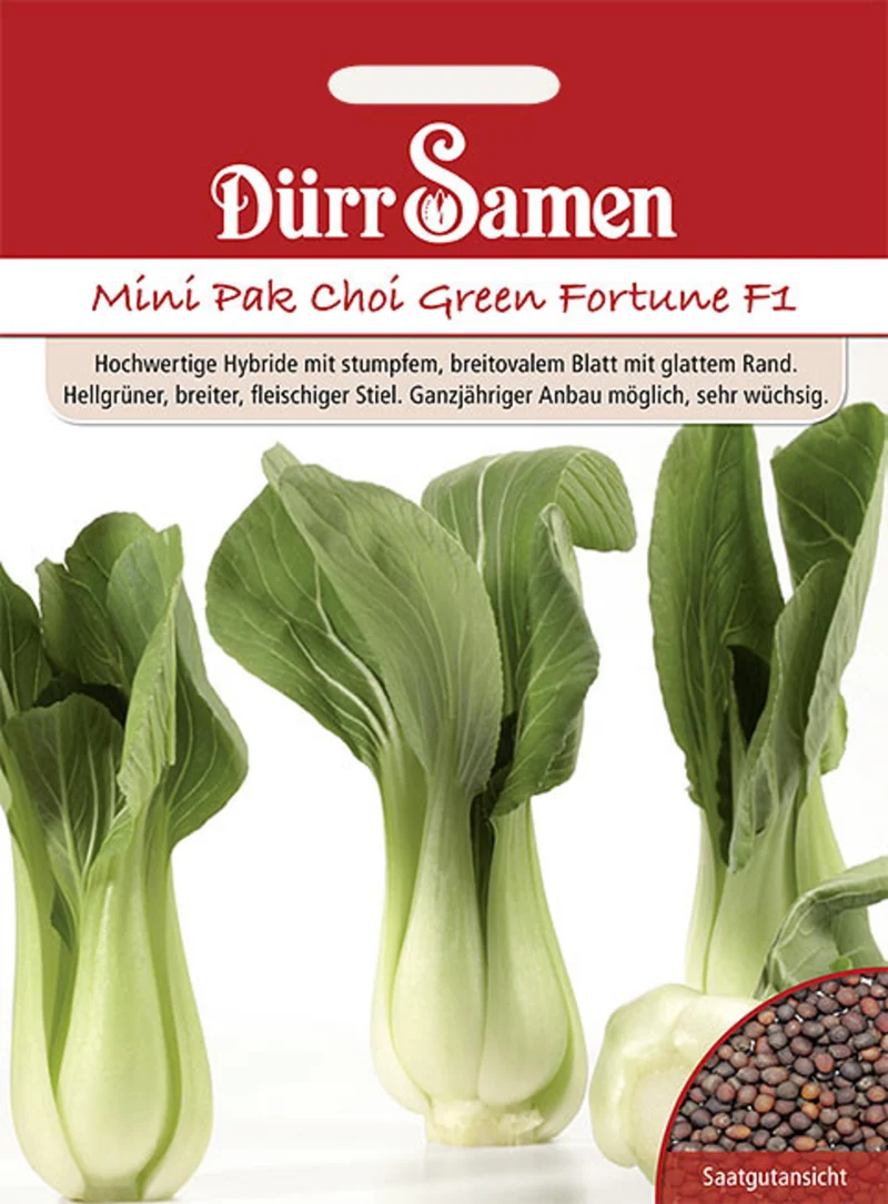 Asia Salat Green Fortune F1 Saatgut