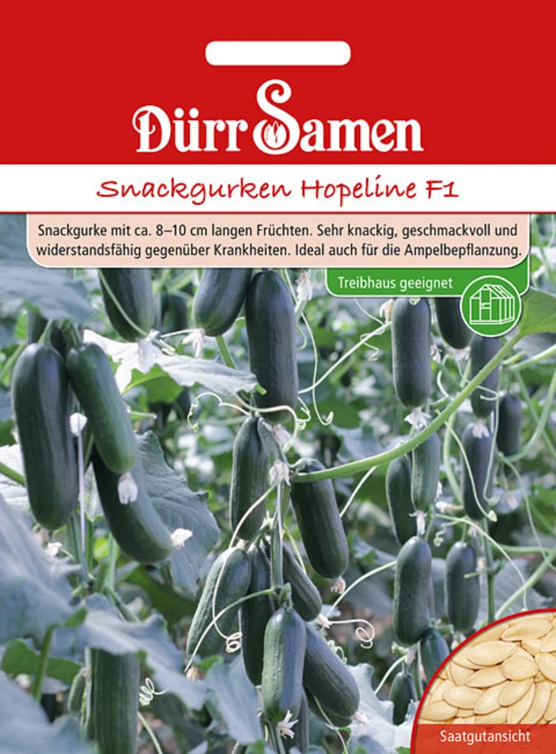 Snackgurke Hopeline F1 Saatgut