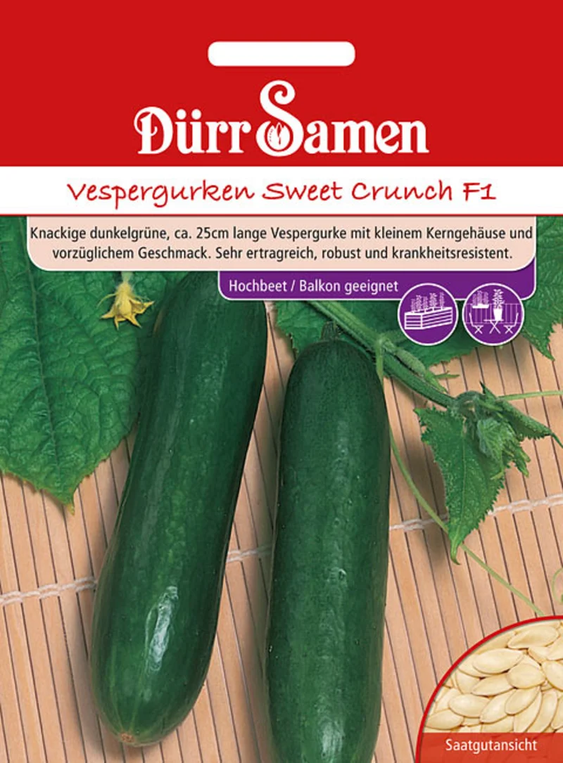 Vespergurke Sweet Crunch F1 Saatgut