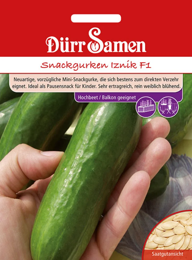Snackgurke Iznik F1 Saatgut