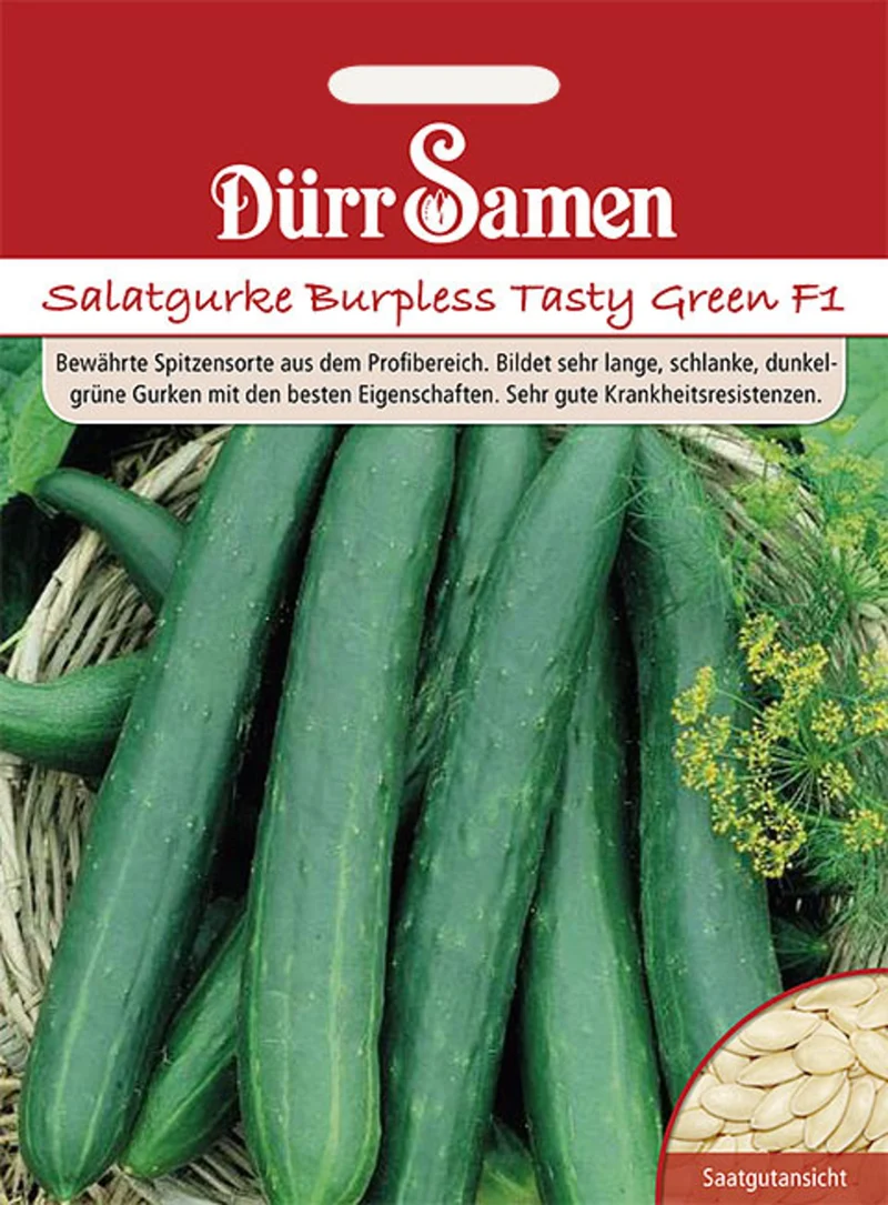 Salatgurke Burpless Tasty Green F1 Saatgut