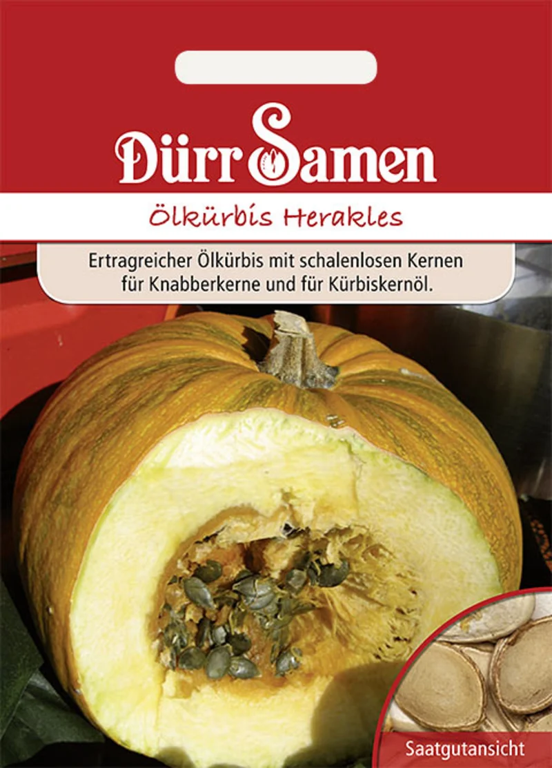 Ölkürbis Herakles Saatgut