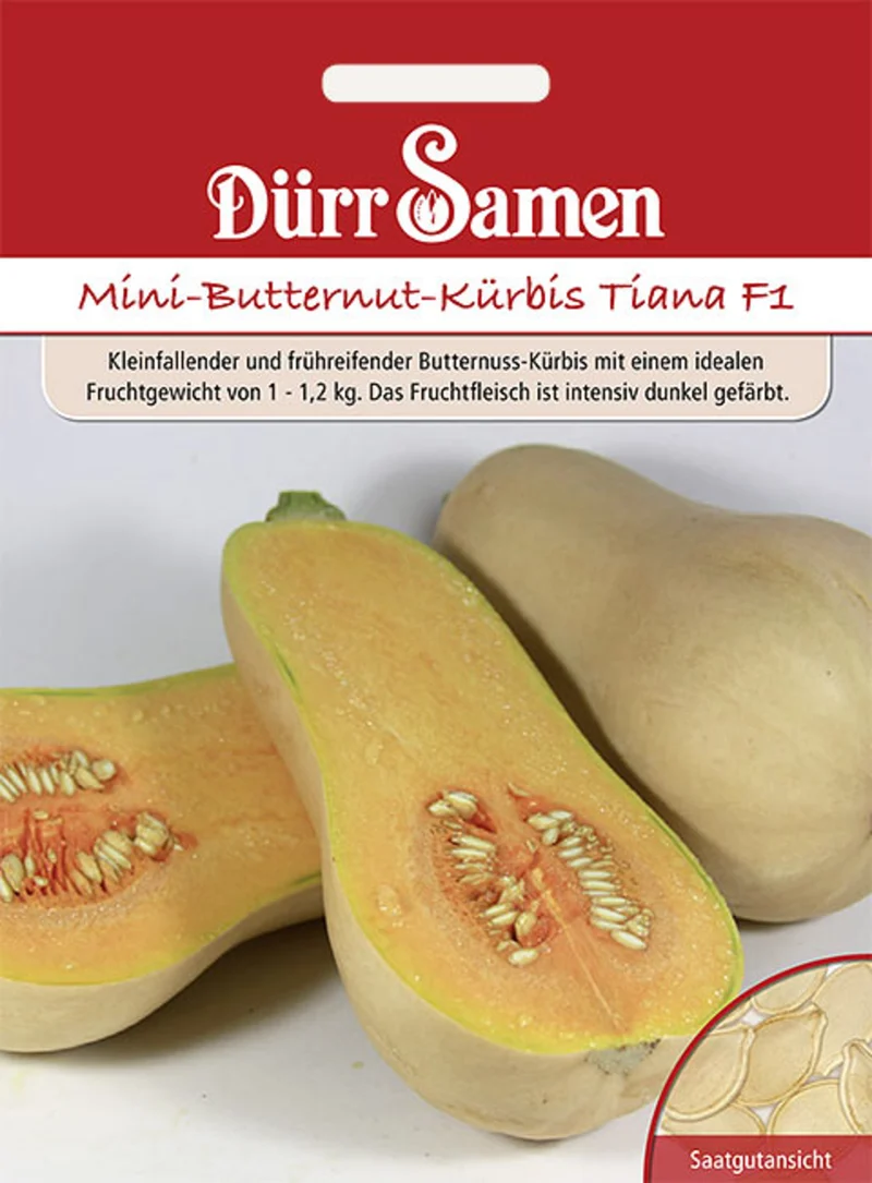 Mini Butternut Kürbis Tiana F1 Saatgut