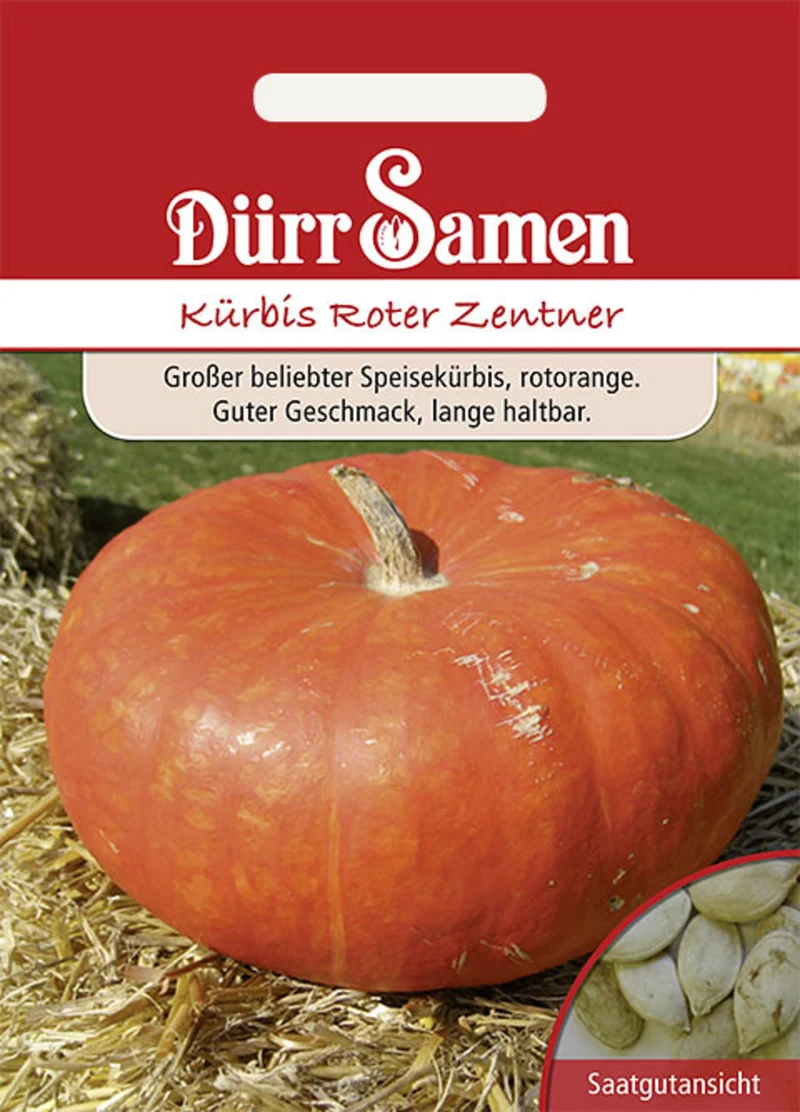 Kürbis Roter Zentner Saatgut