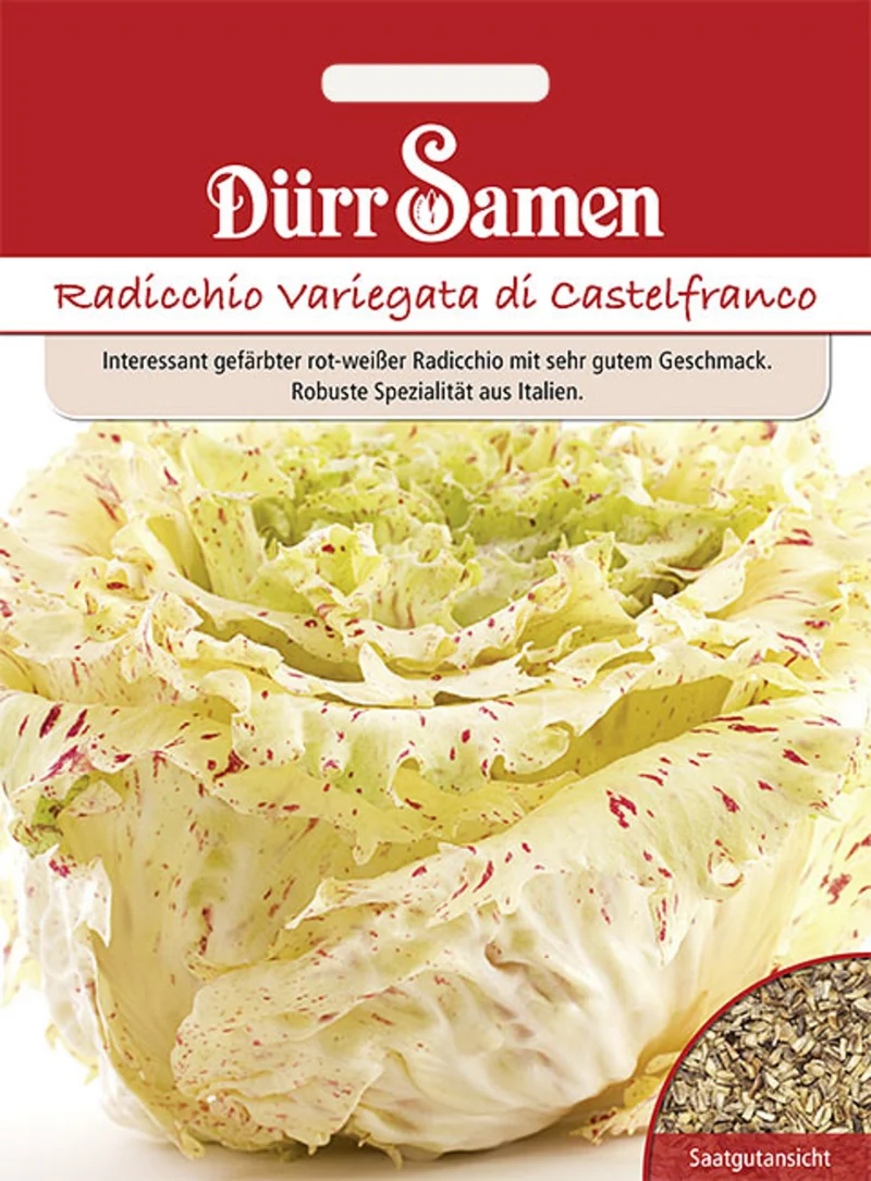 Radicchio Variegata di Castelfranco Saatgut