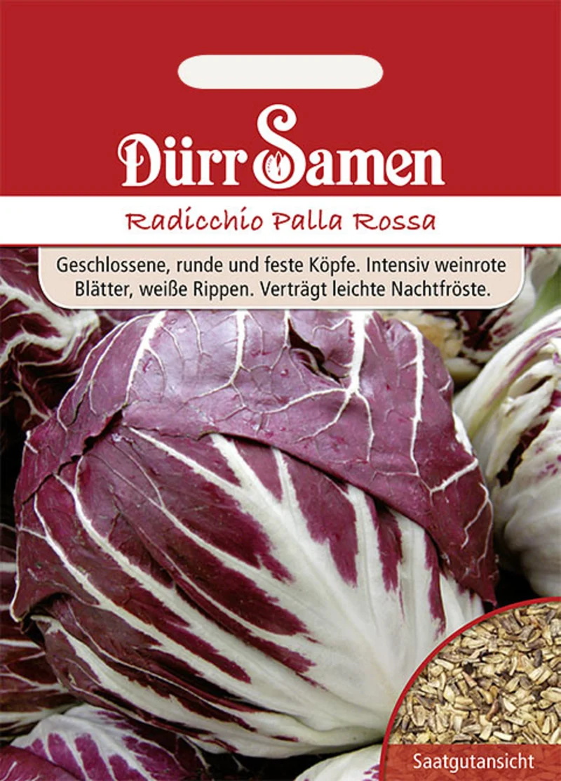 Radicchio Palla Rossa Saatgut