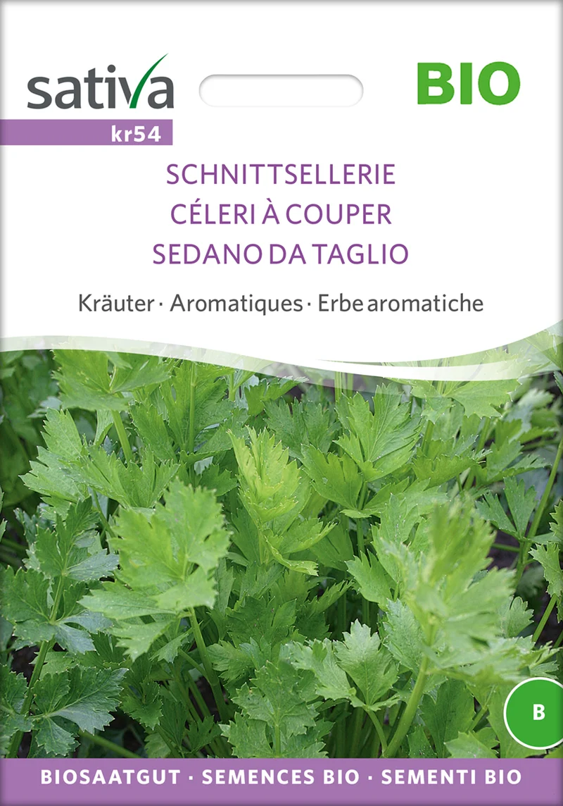 Schnittsellerie | BIO Schittseleriesamen von Sativa Rheinau [MHD 12/2026]