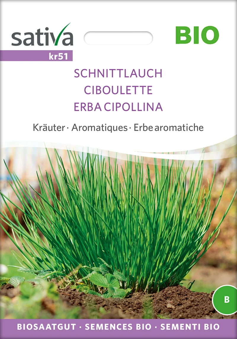 Schnittlauch | BIO Knoblauchsamen von Sativa Rheinau [MHD 12/2025]