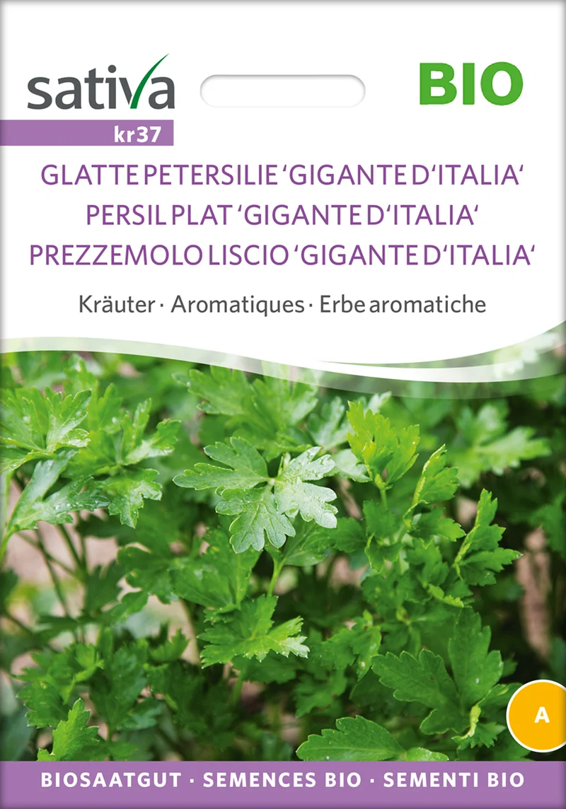 Gigante DItalia (Glatte Petersilie) | BIO Petersiliensamen von Sativa Rheinau [MHD 12/2025]