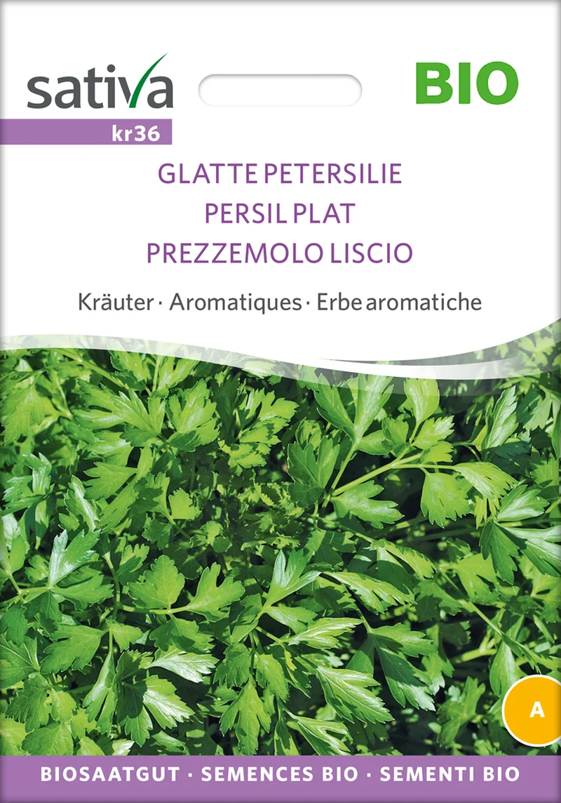 Glatte Petersilie | BIO Petersiliensamen von Sativa Rheinau [MHD 12/2025]