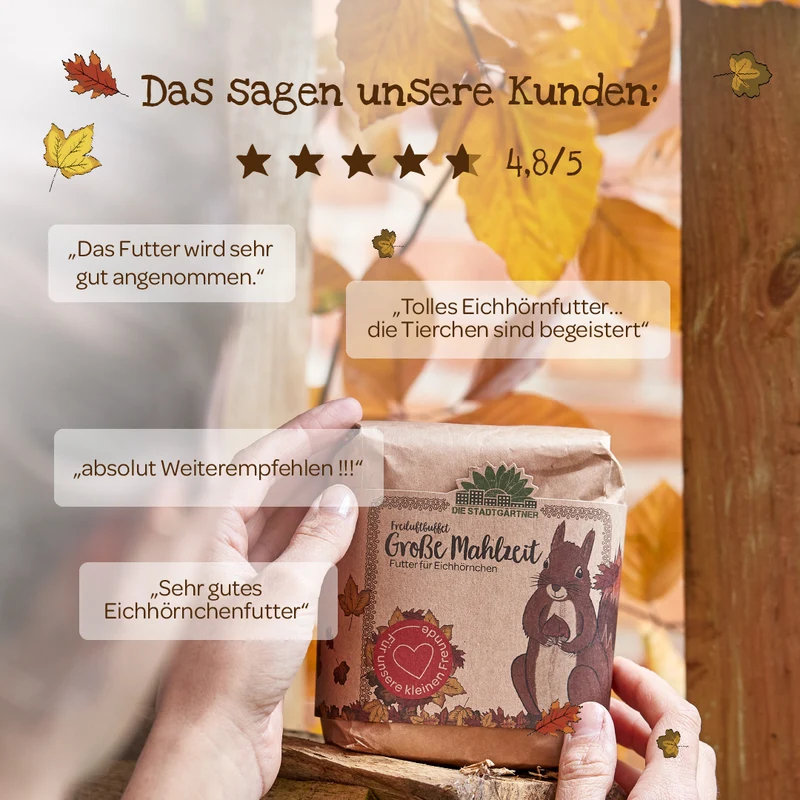 Große Mahlzeit – 1 L Eichhörnchenfutter