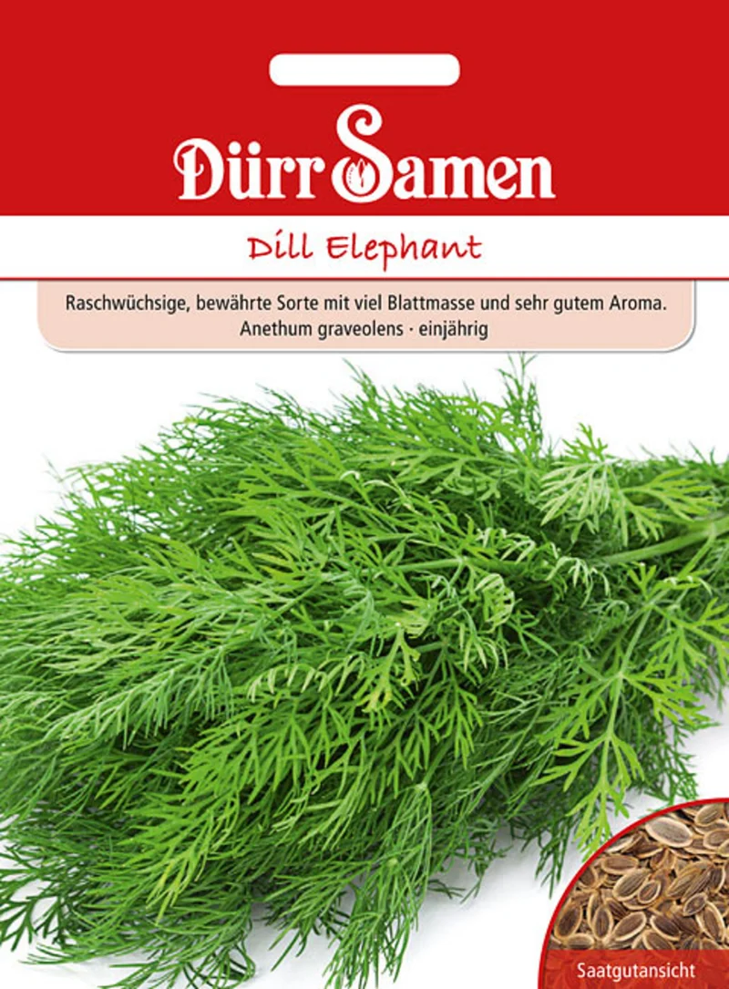 Dill Elephant Saatgut