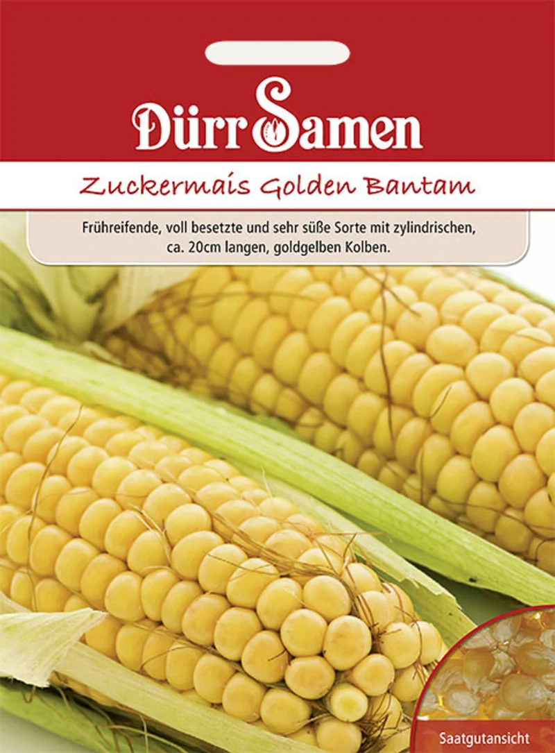 Zuckermais Golden Bantham Saatgut