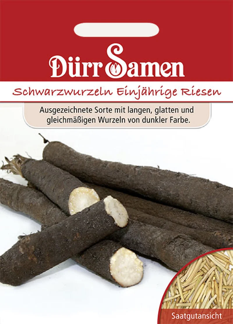 Schwarzwurzeln Einjährige Riesen Saatgut