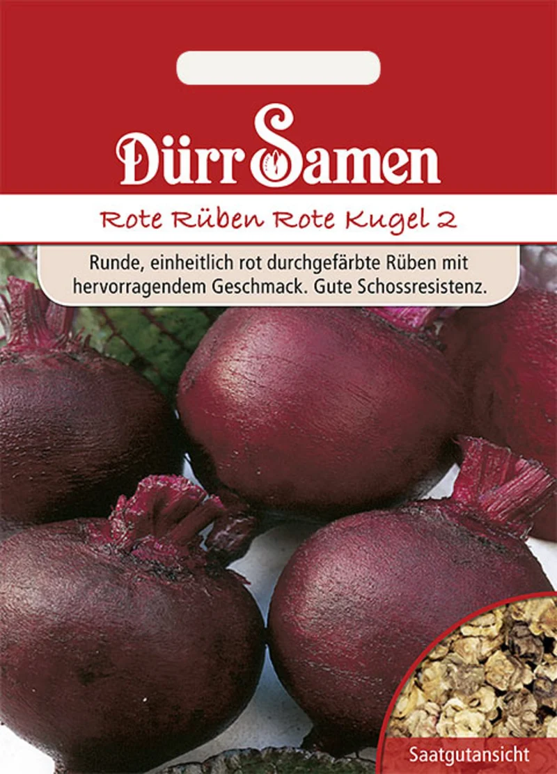 Rote Bete Rote Kugel 2 Saatgut