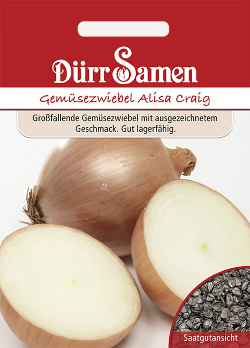 Spanische Gemüsezwiebel Alisa Craig Saatgut