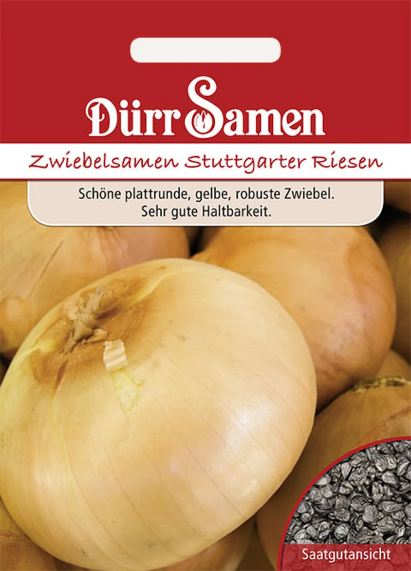 Sommerzwiebeln Stuttgarter Riesen Saatgut