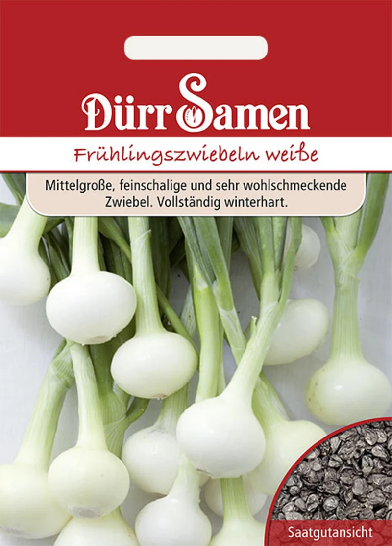 Frühlingszwiebel Vaugirard Weiße Saatgut
