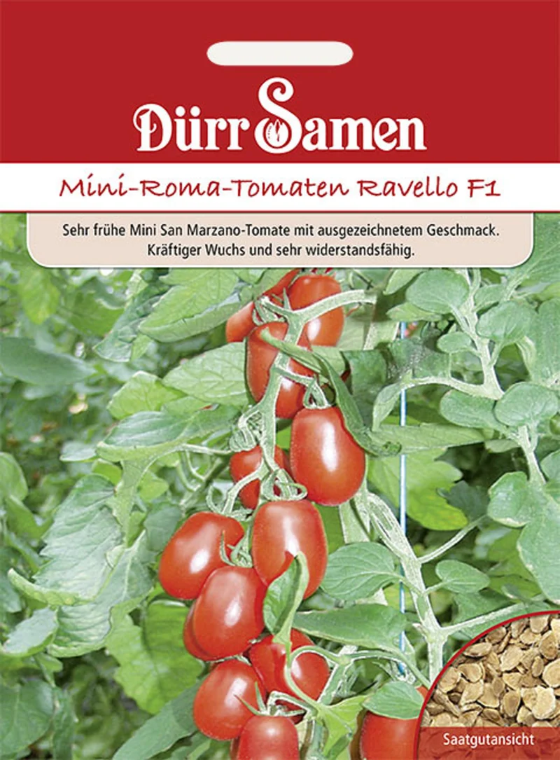 Roma Tomaten Ravello F1 Saatgut